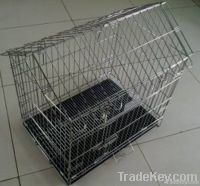 steepetop metal wire dog kennel