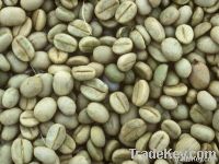  Export Arabica Coffee Beans | Arabica Coffee Bean Importer | Arabica Coffee Beans Buyer | Buy Arabica Coffee Beans | Arabica Coffee Bean Wholesaler | Arabica Coffee Bean Manufacturer | Best Arabica Coffee Bean Exporter | Low Price Arabica Coffee Beans | 