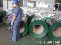 galvanized steel coil