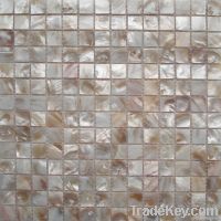 Shell Mosaic Tiles