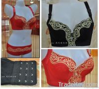 Adjustment Fashion Ladies Bra 2012