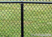 Chain Link Fence