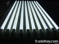 hot selling save engergy lamps CCFLT8 Tube