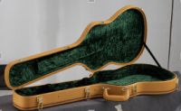 colorful electric guitar case, LP guitar case