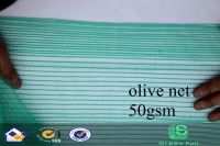 6*6m Dark Green Olive Harvest Net