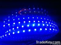 LED Strips  (SMD5050)
