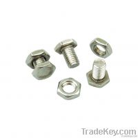 Stainless Steel Bolt DIN933