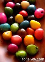 Tagua Seeds