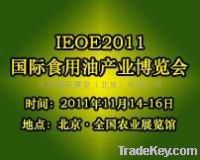 2013 IEOE china oil expo