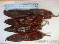 Paprika pods 2012 new corn