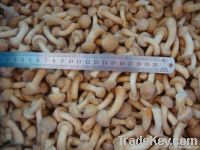 Frozen nameko mushroom