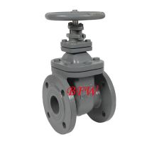 Cast steel and Cast iron  ANSI&amp; DIN gate valve