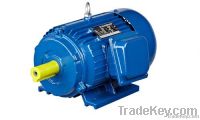 Y series three phase electric motor