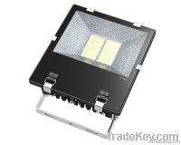 LED Flood Light