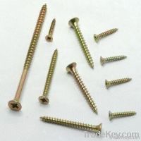 DIN7504 Self tapping Screw