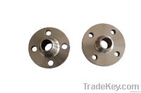 Stainless Steel Flange