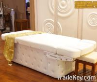 Electric Massage Beauty Bed of Salon Furniture (08D04-3)