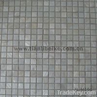 Chinese River Shell Mosaic Natural decoration material