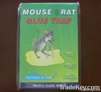 mouse glue trap, rat glue carboards