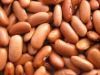 KIDNEY BEANS