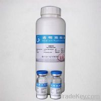 hyaluronic acid sodium hyaluronate HA powder