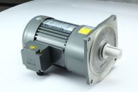 CPG GEAR MOTOR