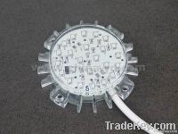 IP68 5050SMD LED lights