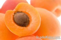 fresh apricote