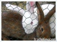 chicken mesh, poultry mesh, rabbit mesh