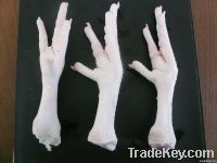 Export Chicken Paw | Chicken Feet Suppliers | Poultry Feet Exporters | Chicken Feets Traders | Processed Chicken Paw Buyers | Frozen Poultry Paw Wholesalers | Low Price Freeze Chicken Paw | Best Buy Chicken Paw | Buy Chicken Paw | Import Chicken Paw | Chi