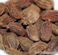 Black Cardamom