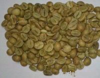  Export Green Coffee Beans | Green Coffee Bean Importer | Green Coffee Beans Buyer | Buy Green Coffee Beans | Green Coffee Bean Wholesaler | Green Coffee Bean Manufacturer | Best Green Coffee Bean Exporter | Low Price Green Coffee Beans | Best Quality Gre