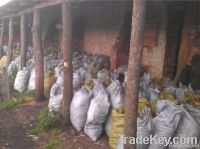 Lumpwood Charcoal Made From Oak Hardwood