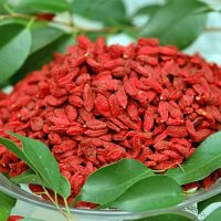 cheap price good quality dried goji berry