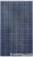 solar module