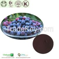 Natural Anthocyanidin 25% Vaccinium myrtillus L Chinese Bilberry Extract