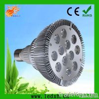 12*1W  Par38 LED spotlight