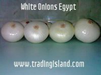 WHITE ONIONS WWW.TRADINGISLAND.COM