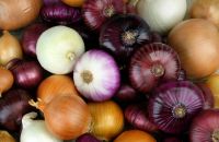 Excellent Quality Fresh Onions 'A