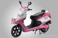 Electric Bike (HS-02)