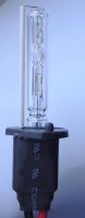 H4 Replacement Bulbs