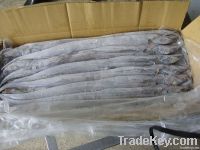 Ribbon Dehydrated Wild Fish (Trichiurus Lepturus)