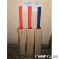 CUSTOM  CRICKET BAT