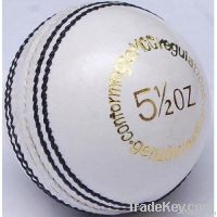 CRICKET BALL