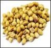 Coriander seeds