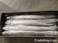 FROZEN WHOLE ROUND RIBBON FISH (HAIR FISH)