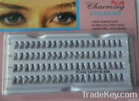 Plus Charming Lashes