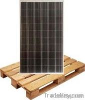 Perlight Solar PLM-6B-235P 235 watt Solar Panel Pallet QTY 20