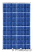 Conergy CGY-50102, PH 240 Watt Poly Solar Panel, Pallet of 22