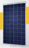 SolarWorld Sunmodule SW 235 poly Solar Photovoltaic (PV) 235 Watt Pane